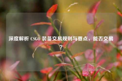 深度解析 CSGO 装备交易规则与要点，能否交易？