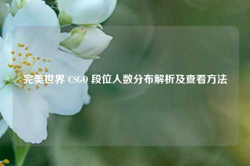 完美世界 CSGO 段位人数分布解析及查看方法