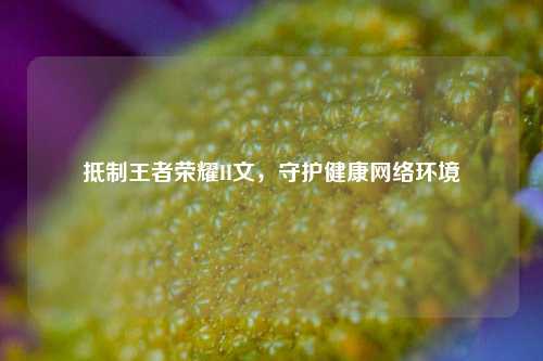 抵制王者荣耀H文，守护健康网络环境