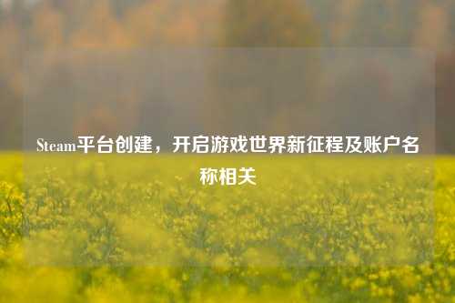 Steam平台创建，开启游戏世界新征程及账户名称相关