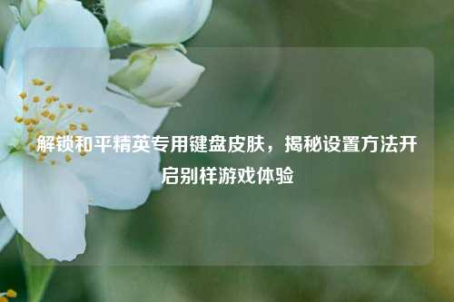 解锁和平精英专用键盘皮肤，揭秘设置方法开启别样游戏体验