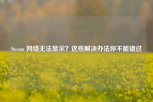 Steam 网络无法显示？这些解决办法你不能错过