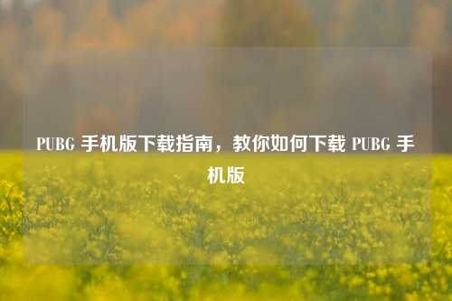 PUBG 手机版下载指南，教你如何下载 PUBG 手机版