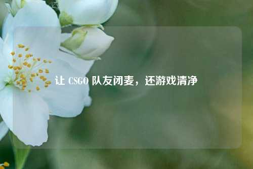 让 CSGO 队友闭麦，还游戏清净