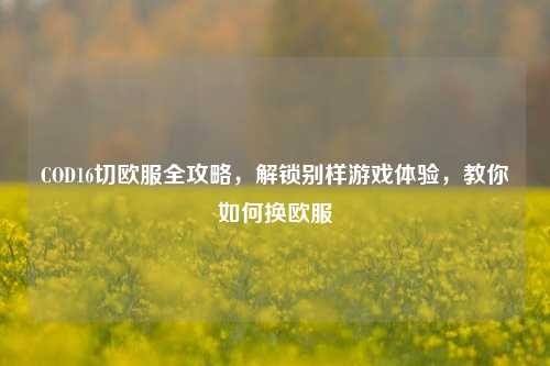 COD16切欧服全攻略，解锁别样游戏体验，教你如何换欧服