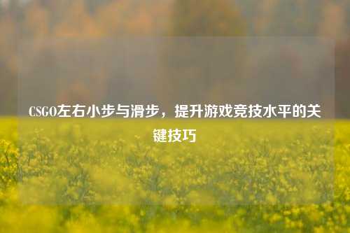 CSGO左右小步与滑步，提升游戏竞技水平的关键技巧