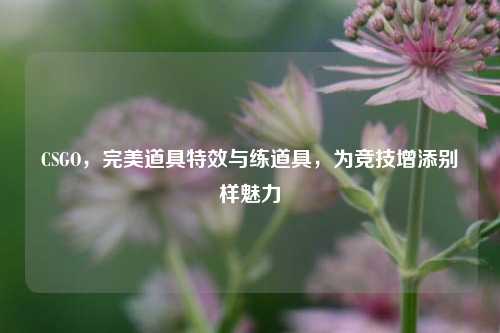 CSGO，完美道具特效与练道具，为竞技增添别样魅力