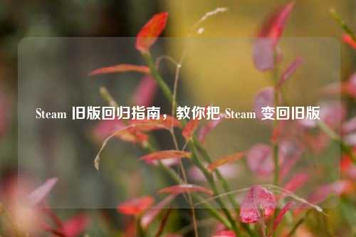Steam 旧版回归指南，教你把 Steam 变回旧版