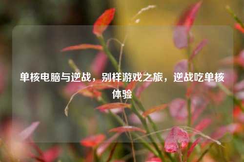 单核电脑与逆战，别样游戏之旅，逆战吃单核体验