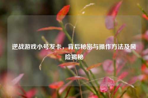 逆战游戏小号发卡，背后秘密与操作方法及风险揭秘