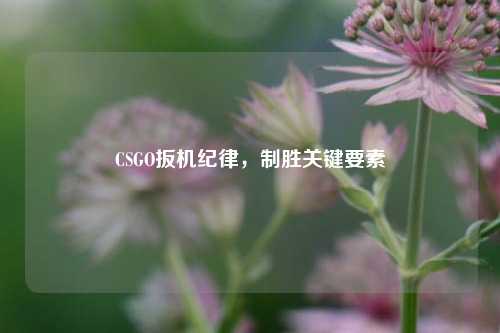 CSGO扳机纪律，制胜关键要素