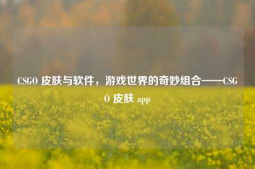 CSGO 皮肤与软件，游戏世界的奇妙组合——CSGO 皮肤 app