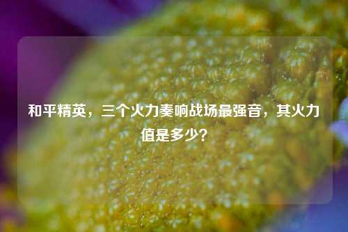 和平精英，三个火力奏响战场最强音，其火力值是多少？