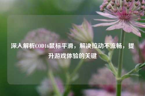 深入解析COD16鼠标平滑，解决拉动不流畅，提升游戏体验的关键