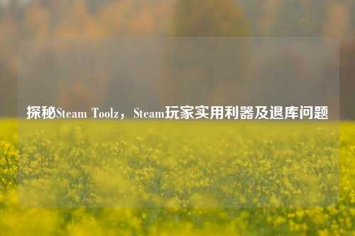 探秘Steam Toolz，Steam玩家实用利器及退库问题