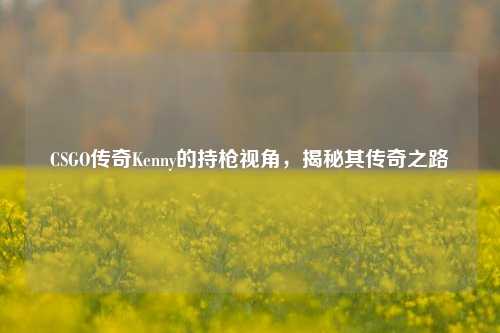 CSGO传奇Kenny的持枪视角，揭秘其传奇之路