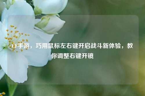 CF手游，巧用鼠标左右键开启战斗新体验，教你调整右键开镜