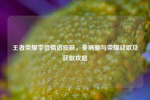 王者荣耀李信情侣皮肤，奏响爱与荣耀战歌及获取攻略