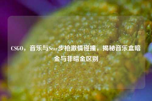 CSGO，音乐与Scar步枪激情碰撞，揭秘音乐盒暗金与非暗金区别