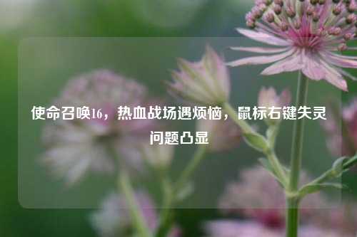 使命召唤16，热血战场遇烦恼，鼠标右键失灵问题凸显