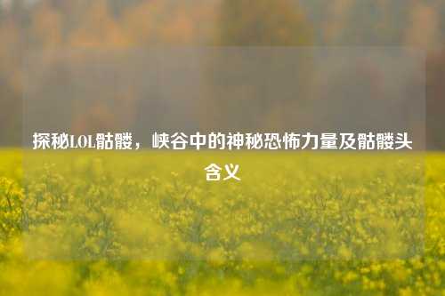 探秘LOL骷髅，峡谷中的神秘恐怖力量及骷髅头含义