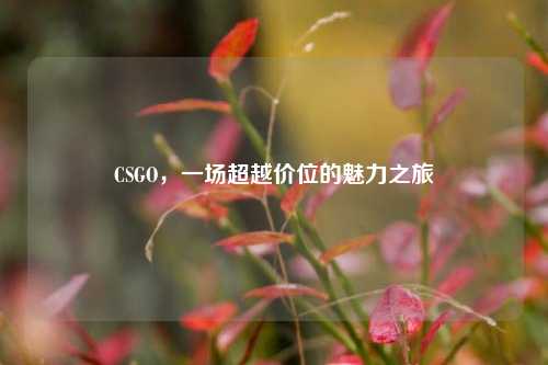 CSGO，一场超越价位的魅力之旅