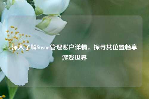 深入了解Steam管理账户详情，探寻其位置畅享游戏世界