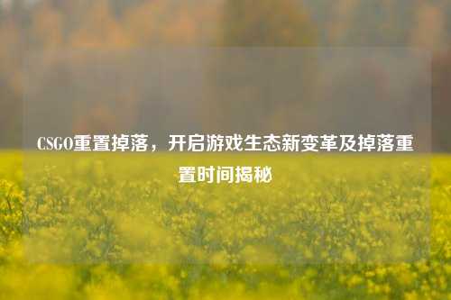 CSGO重置掉落，开启游戏生态新变革及掉落重置时间揭秘