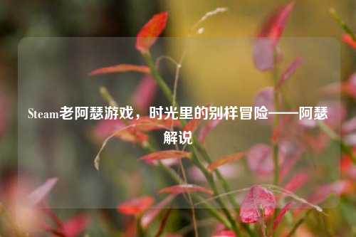 Steam老阿瑟游戏，时光里的别样冒险——阿瑟解说