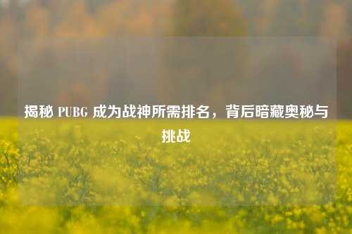 揭秘 PUBG 成为战神所需排名，背后暗藏奥秘与挑战