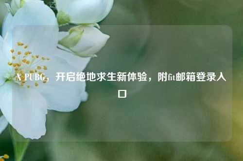 X PUBG，开启绝地求生新体验，附fit邮箱登录入口