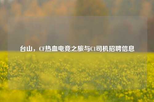 台山，CF热血电竞之旅与C1司机招聘信息