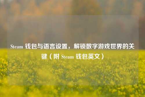 Steam 钱包与语言设置，解锁数字游戏世界的关键（附 Steam 钱包英文）