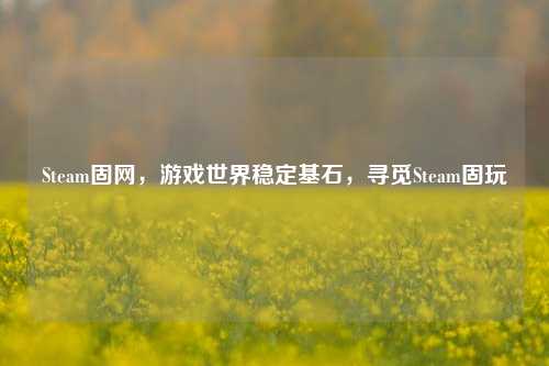 Steam固网，游戏世界稳定基石，寻觅Steam固玩