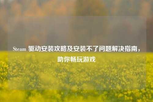 Steam 驱动安装攻略及安装不了问题解决指南，助你畅玩游戏