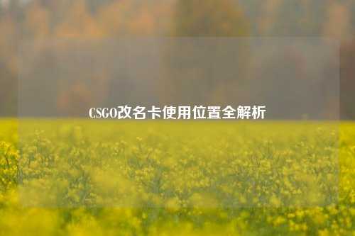 CSGO改名卡使用位置全解析
