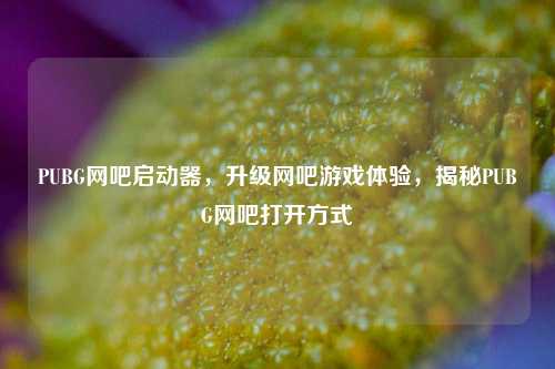 PUBG网吧启动器，升级网吧游戏体验，揭秘PUBG网吧打开方式