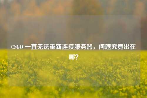CSGO 一直无法重新连接服务器，问题究竟出在哪？
