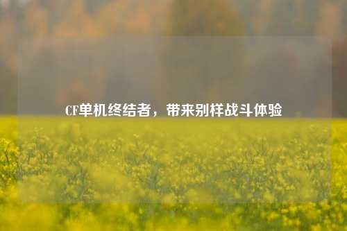 CF单机终结者，带来别样战斗体验