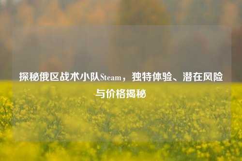 探秘俄区战术小队Steam，独特体验、潜在风险与价格揭秘