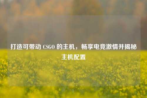 打造可带动 CSGO 的主机，畅享电竞激情并揭秘主机配置