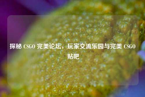 探秘 CSGO 完美论坛，玩家交流乐园与完美 CSGO 贴吧