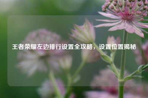 王者荣耀左边排行设置全攻略，设置位置揭秘