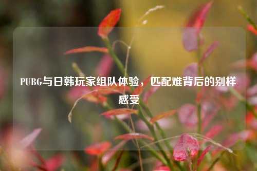 PUBG与日韩玩家组队体验，匹配难背后的别样感受
