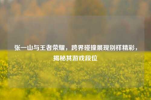 张一山与王者荣耀，跨界碰撞展现别样精彩，揭秘其游戏段位