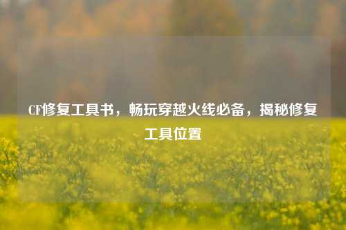 CF修复工具书，畅玩穿越火线必备，揭秘修复工具位置