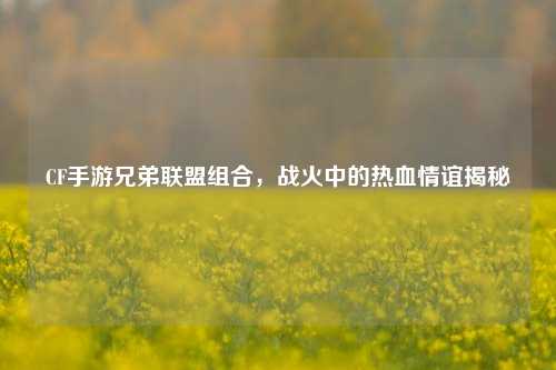 CF手游兄弟联盟组合，战火中的热血情谊揭秘