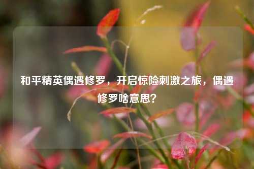 和平精英偶遇修罗，开启惊险刺激之旅，偶遇修罗啥意思？