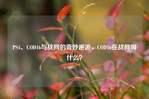 PS4、COD16与战网的奇妙邂逅，COD16在战网叫什么？