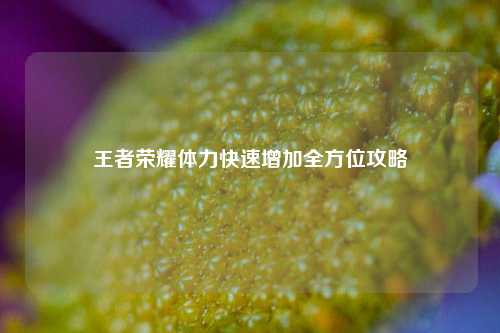 王者荣耀体力快速增加全方位攻略